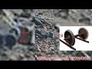 550650_47970_n_1