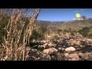 550990_18754_n_1