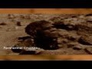561114_13471_n_1