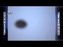 562740_65668_n_1