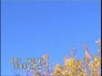 563372_57777_n_1