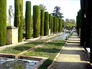 563702_99420_n_2