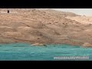 564420_14097_n_1