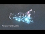 564933_90515_n_1