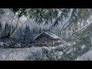 565328_88136_n_1