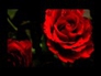 565743_34317_n_1