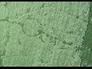 566221_71935_n_1