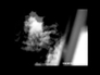 566229_98075_n_1
