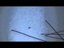 506649_58616_n_1