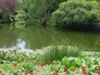 56507_767561_n_1