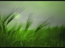56925_402255_n_4