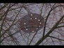 572927_77769_n_1