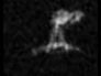573221_55993_n_1