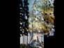 575040_91816_n_2