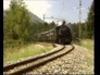 575293_29693_n_1
