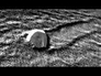578118_71554_n_1