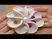 3D Spiral 8-Petal Flower Trim Around Tutorial 56
