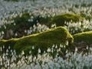 507958_23427_n_1