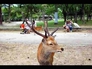 570508_46048_n_2