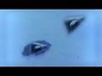 581740_45652_n_1