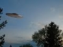 582145_96011_n_1