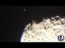 582311_42845_n_1