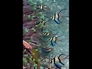 582593_20868_n_2