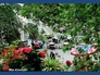 584358_74292_n_2