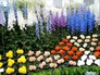 584824_90691_n_2