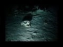 586648_46217_n_1