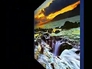 586751_19804_n_2