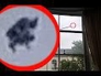 588870_25718_n_1