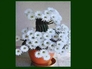 588940_69616_n_1