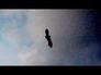 589571_69096_n_1