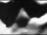 508105_75748_n_1