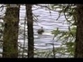 508730_94289_n_1