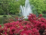 58920_421594_n_2