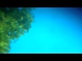 591369_18188_n_1