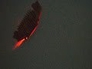 592115_80402_n_1