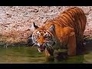592902_91683_n_1