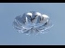 593564_92079_n_1