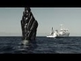 594391_24612_n_1
