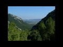 594827_27681_n_1