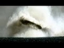 595730_11080_n_1