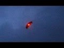596127_52804_n_1
