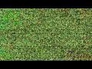 596181_89441_n_1