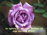596354_49392_n_2