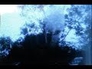 598681_44004_n_1