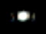 598947_55305_n_1