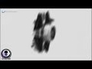 599001_55925_n_1